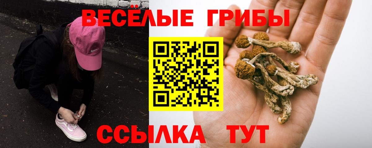 Галлюциногенные грибы Psilocybe Бутурлиновка