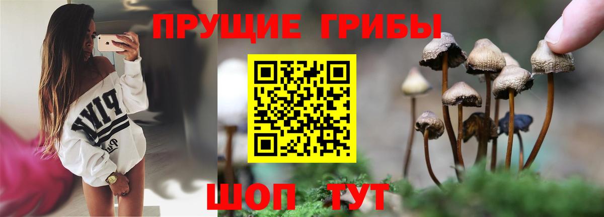 Псилоцибиновые грибы прущие грибы  Вход с VPN  Бутурлиновка 